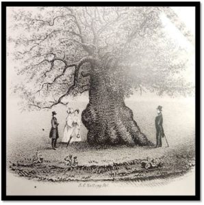 Lithographic Representation of the charter Oak